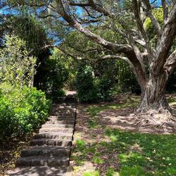 Aufstieg auf Mount Eden