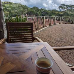 Coffee! Really good coffee