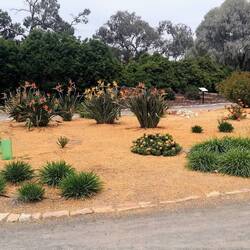 beim botanischen Garten