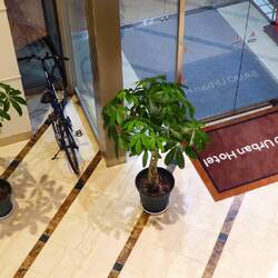 Mein Fahrrad darf heute in der Lobby des Hotels schlafen.