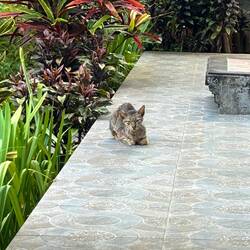 The shy and skinny one