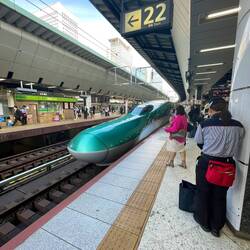 This is the bullet train arriving at Tokyo Station - can you see why it's called like that?