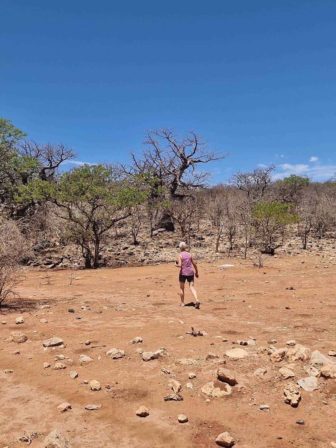 Stopp bei den Baobabs