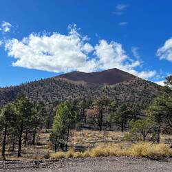 Sunset Crater erupted ~ 1000 years ago