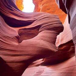 The Lady in the Wind