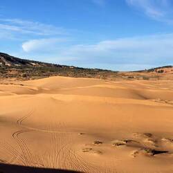 Coral Pink Sand Dunes