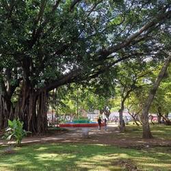 Park in der Stadt