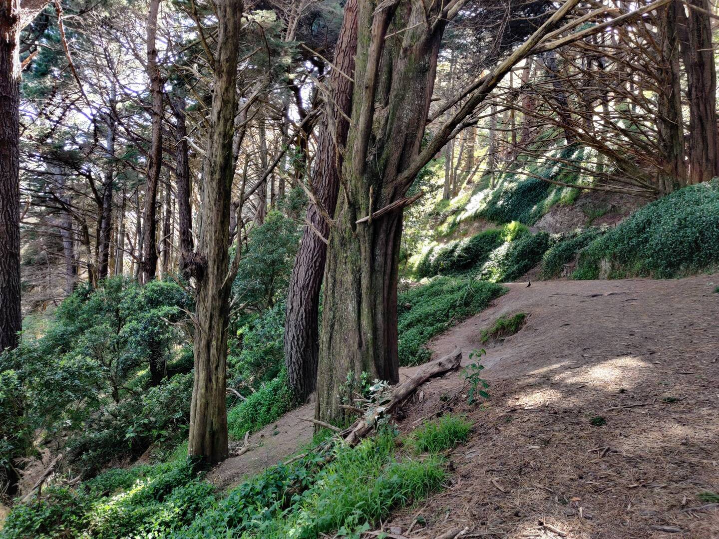 Frodo: "Get off the road!!!"