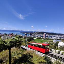 Traîne couillons à câble