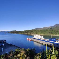 Gros traîne couillons