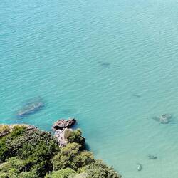 Méééééduses!! Mais si en plissant les yeux, on les voit!