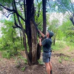 Bushwalk with the Guide Jan