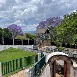 Jacaranda-Bäume auf der Palastanlage