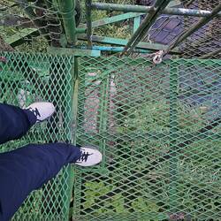 teils sehr verostete Hängebrücke 🫣