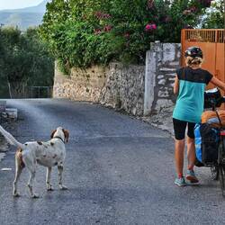 Immer mal wieder heißt es absteigen, damit die Hunde ihre Jagd auf unsere Reifen beenden😉