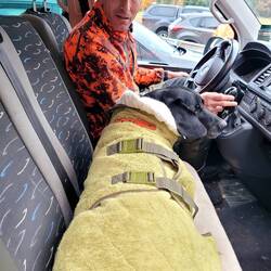 Arndt hat den ersten Heuler von einer Sandbank im Drewensee gerettet