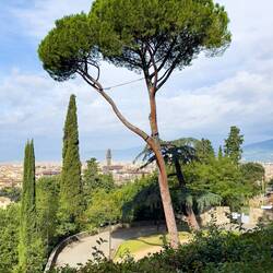 Heading down to the Michelangelo Terrace — Florence, Italy.