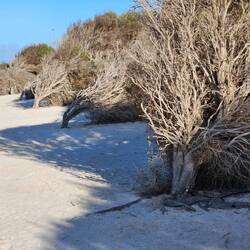 And it looks like it is very common!