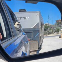 Bosley waiting for check in