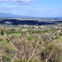 Fernsicht oberhalb von Funchal