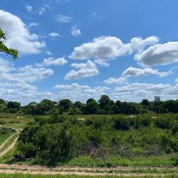 The view from our Terrace