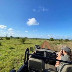 Jess is looking for animals or traces