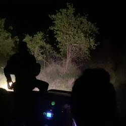 The moment we found it - our guide Jess very excited!