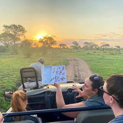 Also learning a lot about birds