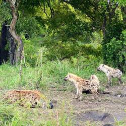 All three youngsters