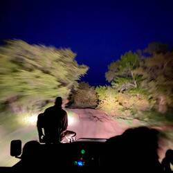 And off we go for the night drive