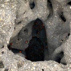 The workers repairing the cheminee after the rainfall