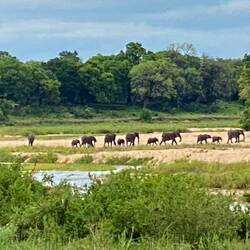 Crossing the river in front of our lodge