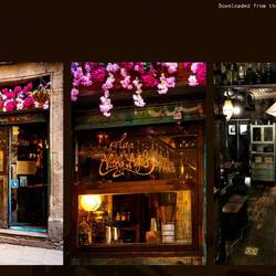 A great place for tapas — Barcelona, Spain.