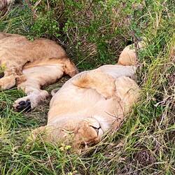 Full on chilling mode