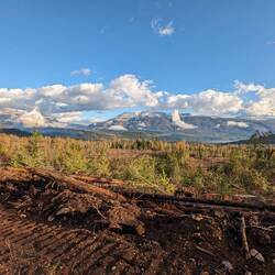 Grundstück von einem Kunden von King