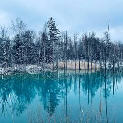 Almost perfect symmetry...