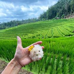 my little cotton monster