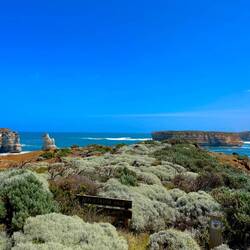 Bay of Islands Costal Park 🏖️