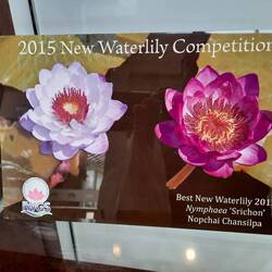 Eine Auszeichnung für eine gelungene Neuzüchtung