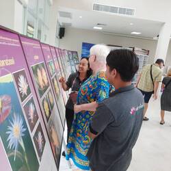 Ulrike erhält beim Entziffern der Thaischrift Unterstützung.
