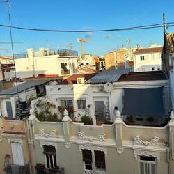 Sunny view from my room