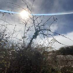 Heidis Versuch, im Selfie-Modus zu fotografieren. Cooles Resultat!