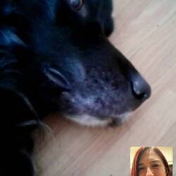 Aly had a video call with Lio and Laura in Bamberg