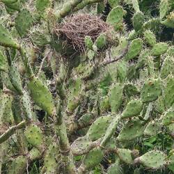 Gemütliches Nest am sicheren Ort