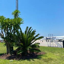 Our plane to Johannesburg