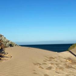 Sand dunes at Port Elisabeth Summerstrand Area