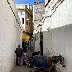 Brennholz für den Bäcker wird hier noch mit Esel angeliefert