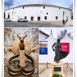 The local bullring — Ronda, Spain.