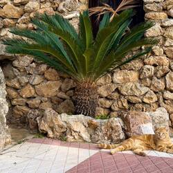 Visitor to the shrine — Mijas, Spain.