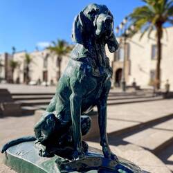 The Canary Islands get their name from "canis," the Latin word for dog.